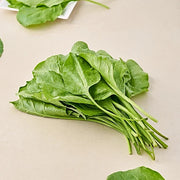 Spinach ( Palak )