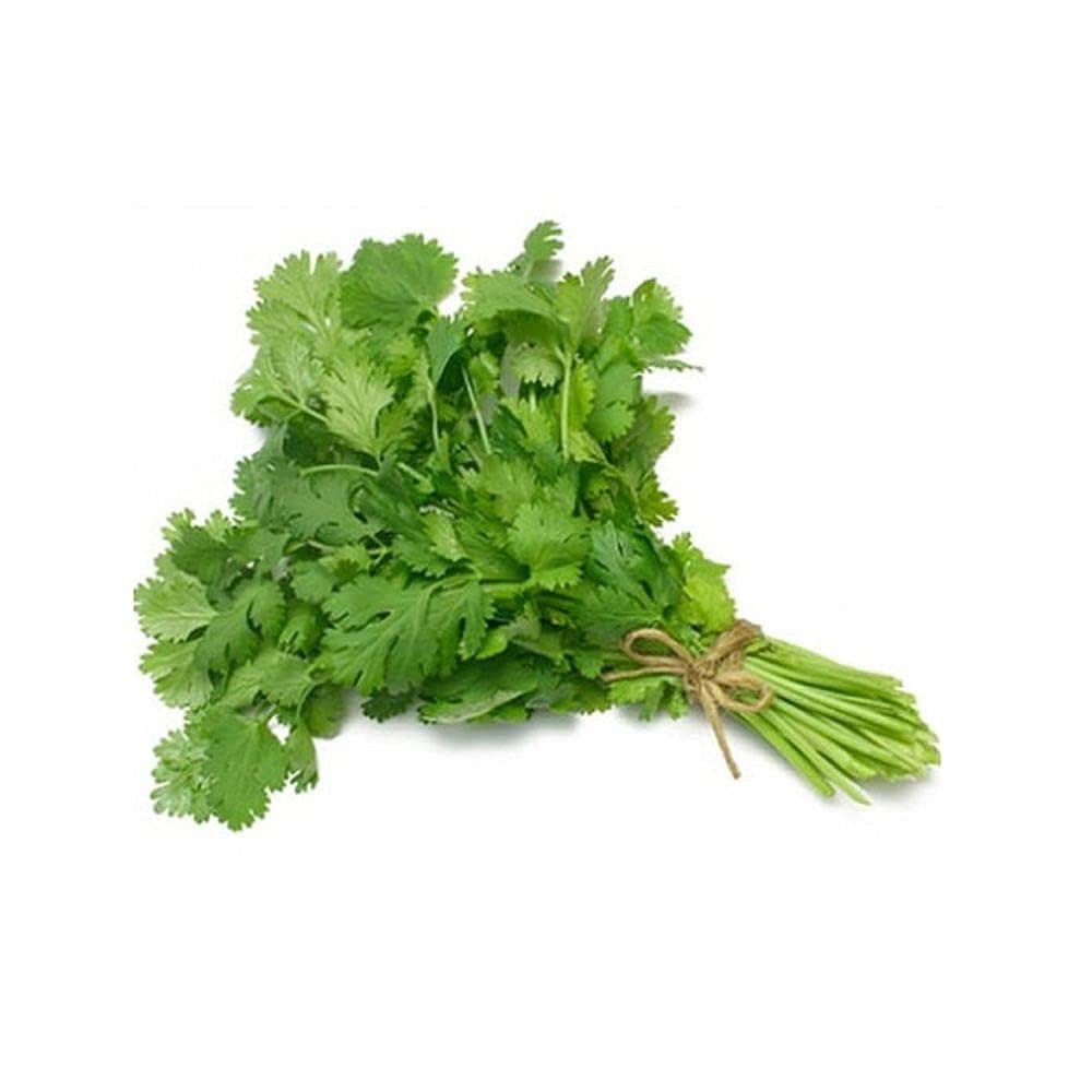 Coriander Leaves