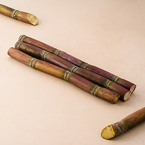 Sugar cane