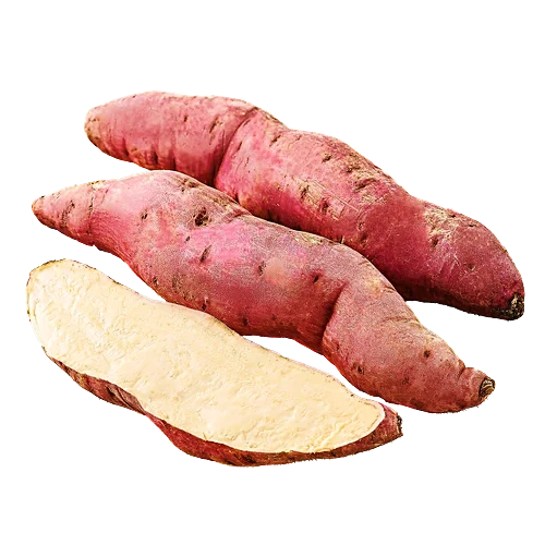 Sweet Potato