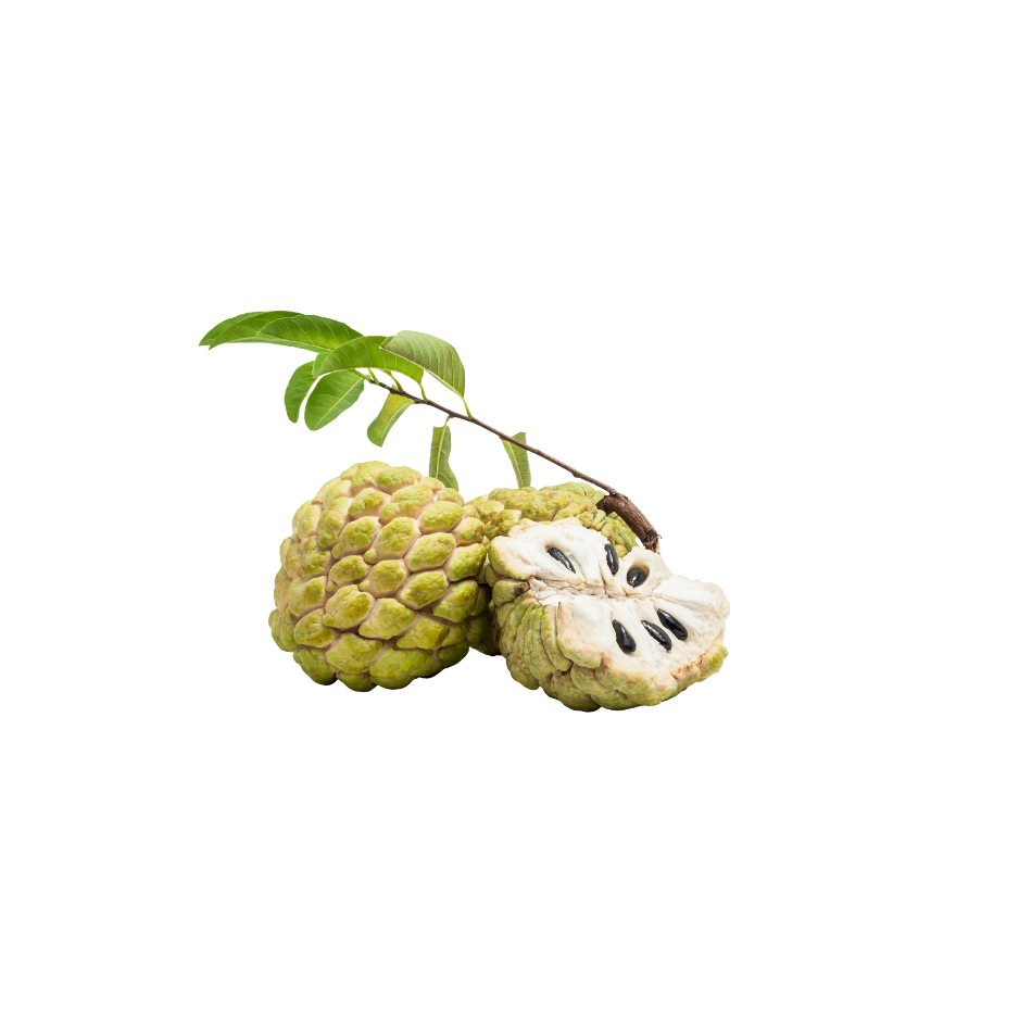 Custard apple