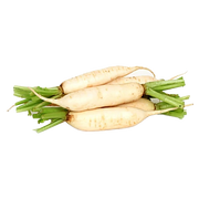 Radish