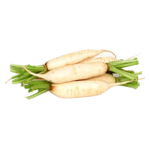 Radish