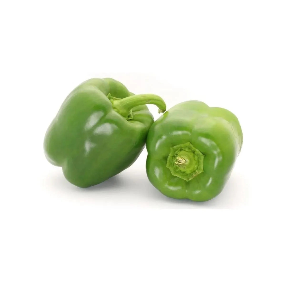 Capsicum