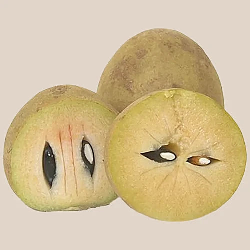 Sapota (Sapodilla)