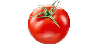 Tomato